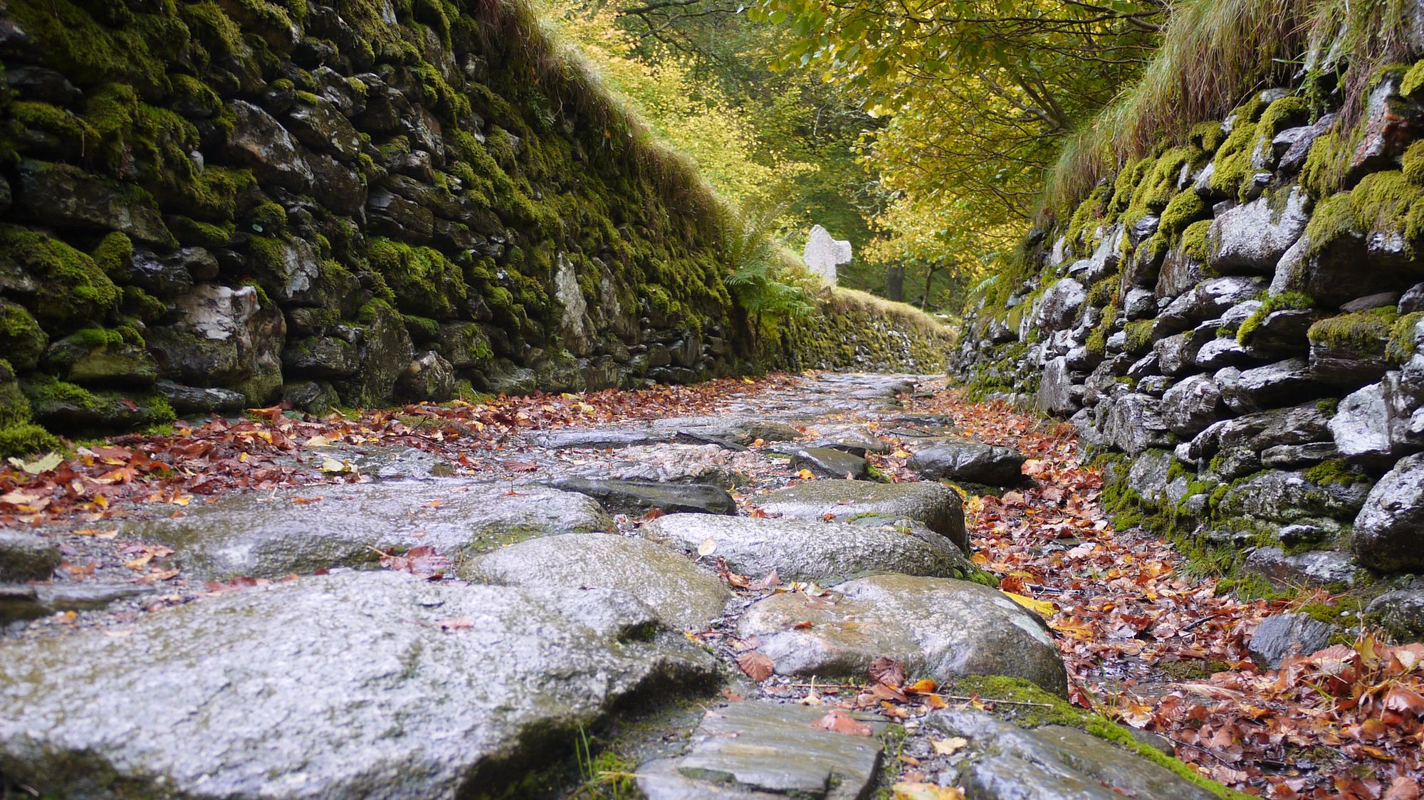 The source image, which is a stone pathway surrounded by rock walls and foliage, purportedly located in Ireland.